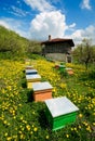 Old house and apiary Royalty Free Stock Photo