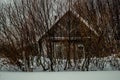 Old house behind the trees