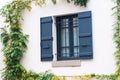 Old house beige wall with window with opened dark blue gray wooden shutters, metal grilles and deciduous plant weaving
