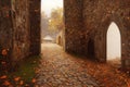 Old house building with window over beautiful autumn nature background. Historic architectural ruins surrounded last