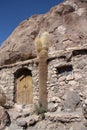 Old house and cactus, Isla del Pescado, Salar de Uyuni Royalty Free Stock Photo