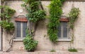 An old house with cilmbing plants in a garden in Italy Royalty Free Stock Photo
