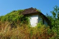 old house covered with plants Royalty Free Stock Photo