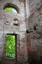 Old house in deep forest in Summer in rain day Royalty Free Stock Photo