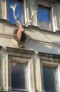 Old house facade with deer head and horns