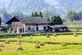 Old house in the farm Royalty Free Stock Photo