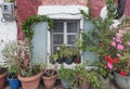 Old house with flower pots Royalty Free Stock Photo