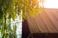 Old house in the forest. The sun& x27;s rays make their way through the branches of trees. Spring.