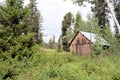 Old house in the forest Royalty Free Stock Photo