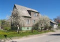 Old house of the German construction with the blossoming apple-trees. Kaliningrad
