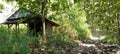 old house in the indonesian forest Royalty Free Stock Photo