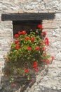 Old house in Marches (Italy)