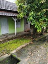 An old house with a mossy yard that is still Occupied Royalty Free Stock Photo
