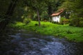 An old house overgrown with vines near a river in the woods