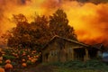 Old House Pumpkin Patch in Oregon fall season USA Royalty Free Stock Photo