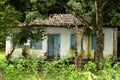 Old house in ruins in middle tropical forest Royalty Free Stock Photo