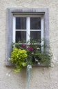 Old house in Saalfeld - window with flowers Royalty Free Stock Photo