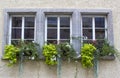 Old house in Saalfeld - windows with flowers Royalty Free Stock Photo