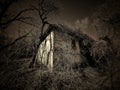 Old house in Serbia