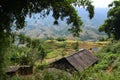 Old house in small village in the mountains  landscape with terraced rice fields Royalty Free Stock Photo