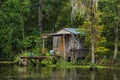 Old house in a swamp in New Orleans