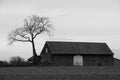 Old house with tree in black and white