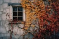 an old house with vines growing around it and a window Royalty Free Stock Photo
