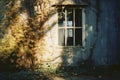 an old house with vines growing around it and a window Royalty Free Stock Photo