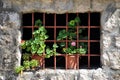 Old house window with bars Royalty Free Stock Photo