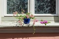 An old house window decorated with flower pots Royalty Free Stock Photo