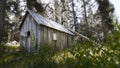 Old House in the Woods Royalty Free Stock Photo