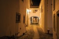 Old houses on alley with passageway under arch at night in Marvao Royalty Free Stock Photo