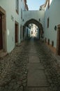 Old houses in cobblestone alley and passageway under arch Royalty Free Stock Photo