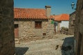 Old houses and dog on cobblestone alley on slope Royalty Free Stock Photo