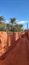 The red oasis Timimoun in Algeria