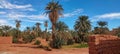 The red oasis Timimoun in Algeria Royalty Free Stock Photo