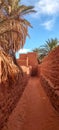 The red oasis Timimoun in Algeria