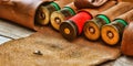 Old hunting cartridges and bandoleer Royalty Free Stock Photo