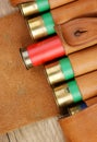 Old hunting cartridges and bandoleer Royalty Free Stock Photo