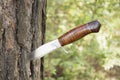 Old hunting knife Royalty Free Stock Photo