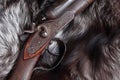 Old Hunting Shotgun Royalty Free Stock Photo