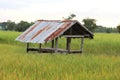 An old hut in the middle of a rice field