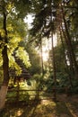 Old hut with straw roof behind fence in forest on sunny day Royalty Free Stock Photo