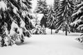 Old hut in the winter mountains. Black and white image Royalty Free Stock Photo