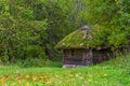 Old hut in the woods Royalty Free Stock Photo