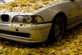 An old inactive car. Fallen yellow autumn leaves, in the forest, in the park or in the parking lot, on asphalt and on the road.