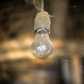 Old incandescent lamp in dust and cobweb on brown background Royalty Free Stock Photo