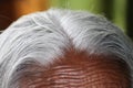 An old Indian lady with white hair in the head. Close up of toned skin long gray hair makes the look vintage Royalty Free Stock Photo