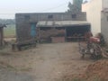 Old indian village home , having old wooden cart, two cows, ploughing instruments.