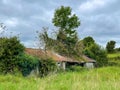 Old Irish derelict cottage Royalty Free Stock Photo